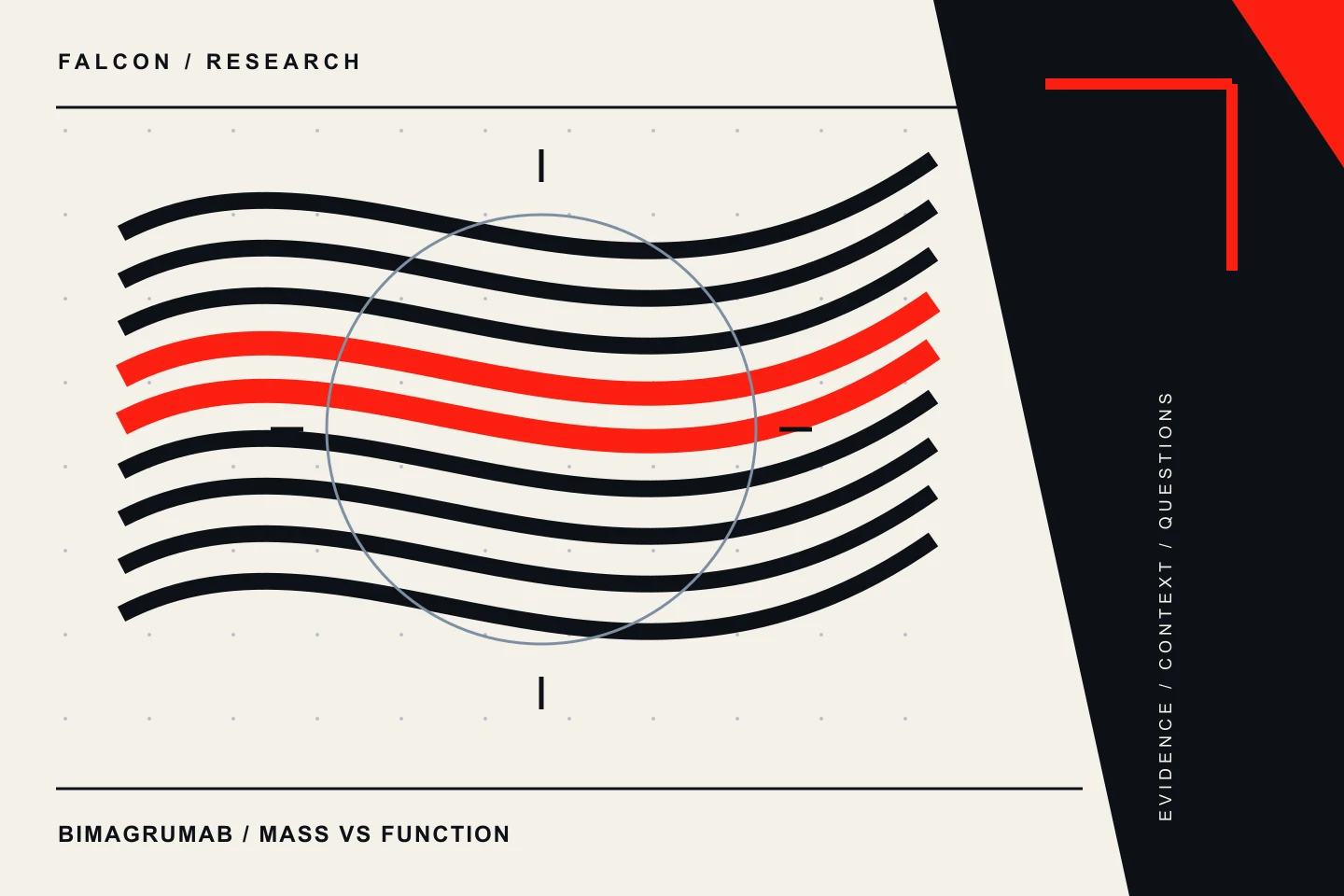Falcon Peps research graphic: Bimagrumab: fat loss, lean mass and the function question